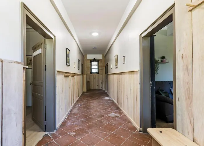 Au Ptit Tcheste * Hontanx